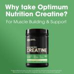 پودر کراتین مونوهیدرات میکرونیزه Optimum Nutrition (ON) 1200 گرم - بی‌طعم