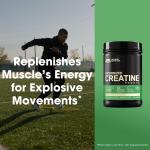 پودر کراتین مونوهیدرات میکرونیزه Optimum Nutrition (ON) 1200 گرم - بی‌طعم