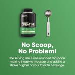 پودر کراتین مونوهیدرات میکرونیزه Optimum Nutrition (ON) 1200 گرم - بی‌طعم