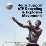 پودر کراتین مونوهیدرات میکرونیزه Optimum Nutrition (ON) 1200 گرم - بی‌طعم