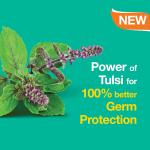 مایع شستشوی دست هیمالیا Pure Hands تولسی و آلوئه‌ورا — بسته 3×250 میلی‌لیتر